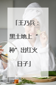 王乃兵：黑土地上“种”出红火日子