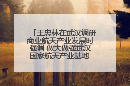 王忠林在武汉调研商业航天产业发展时强调 做大做强武汉国家航天产业基地 打造具有全国影响力的“中国星谷”