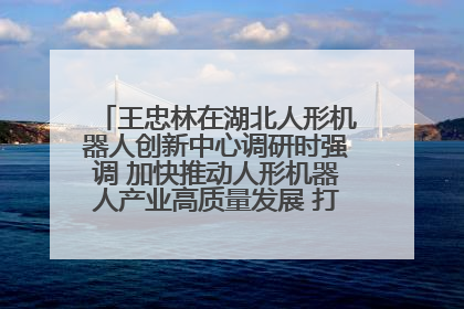 王忠林在湖北人形机器人创新中心调研时强调 加快推动人形机器人产业高质量发展 打造具有全国影响力的研发创新基地