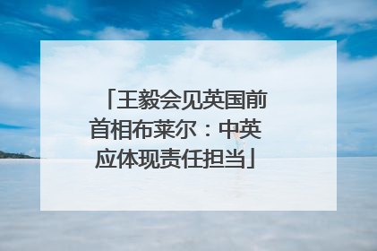 王毅会见英国前首相布莱尔：中英应体现责任担当