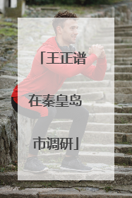 王正谱在秦皇岛市调研