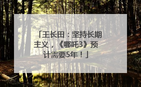 王长田：坚持长期主义，《哪吒3》预计需要5年！