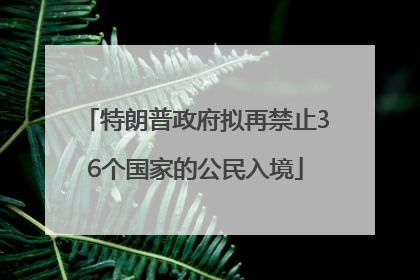 特朗普政府拟再禁止36个国家的公民入境