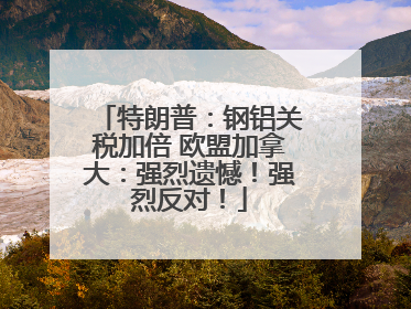 特朗普：钢铝关税加倍 欧盟加拿大：强烈遗憾！强烈反对！