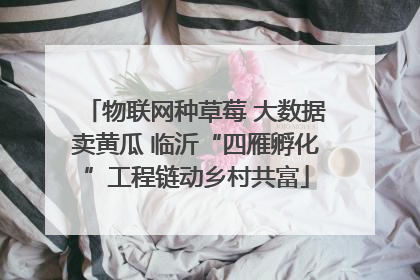 物联网种草莓 大数据卖黄瓜 临沂“四雁孵化”工程链动乡村共富