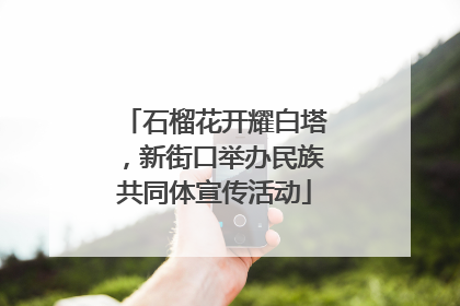 石榴花开耀白塔，新街口举办民族共同体宣传活动