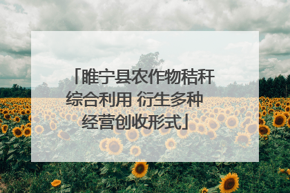 睢宁县农作物秸秆综合利用 衍生多种经营创收形式