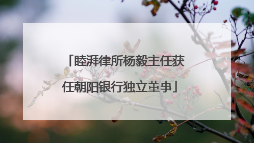 睦湃律所杨毅主任获任朝阳银行独立董事