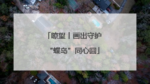瞭望丨画出守护“蝶岛”同心圆