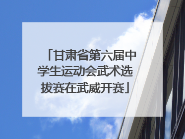 甘肃省第六届中学生运动会武术选拔赛在武威开赛