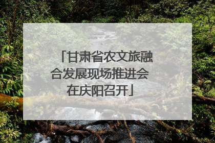 甘肃省农文旅融合发展现场推进会在庆阳召开