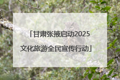 甘肃张掖启动2025文化旅游全民宣传行动