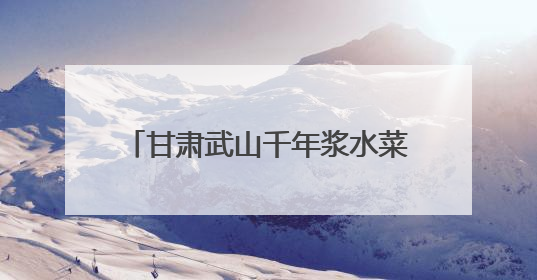 甘肃武山千年浆水菜“科技焕新”走全国