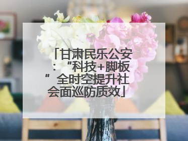 甘肃民乐公安：“科技+脚板”全时空提升社会面巡防质效