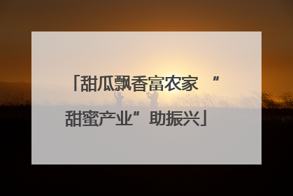 甜瓜飘香富农家 “甜蜜产业”助振兴
