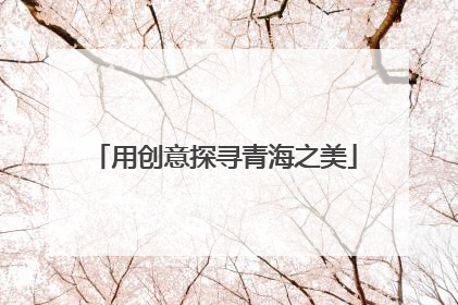 用创意探寻青海之美