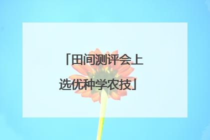 田间测评会上选优种学农技