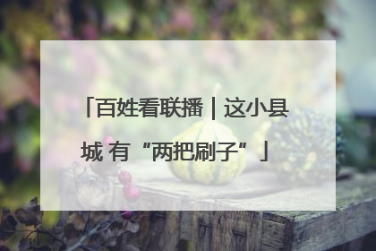 百姓看联播｜这小县城 有“两把刷子”