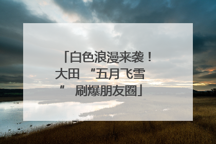 白色浪漫来袭！大田 “五月飞雪” 刷爆朋友圈