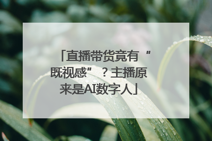 直播带货竟有“既视感”？主播原来是AI数字人