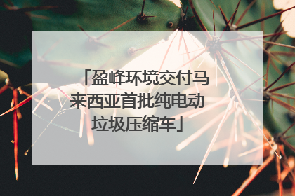 盈峰环境交付马来西亚首批纯电动垃圾压缩车