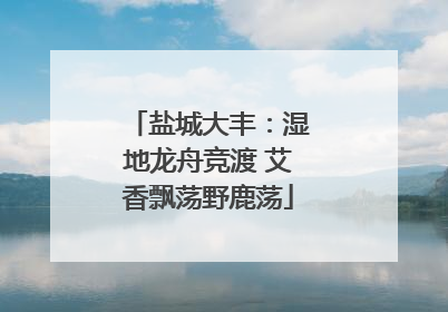 盐城大丰：湿地龙舟竞渡 艾香飘荡野鹿荡