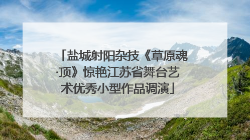 盐城射阳杂技《草原魂·顶》惊艳江苏省舞台艺术优秀小型作品调演