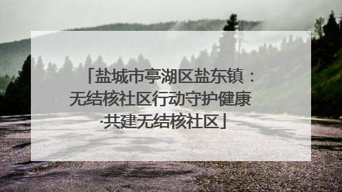 盐城市亭湖区盐东镇：无结核社区行动守护健康 ·共建无结核社区