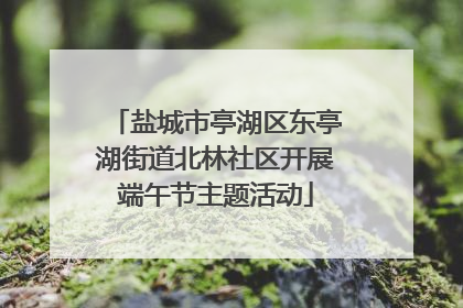 盐城市亭湖区东亭湖街道北林社区开展端午节主题活动