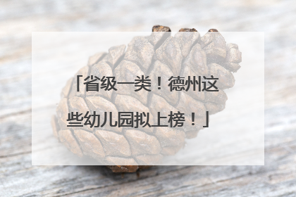 省级一类！德州这些幼儿园拟上榜！