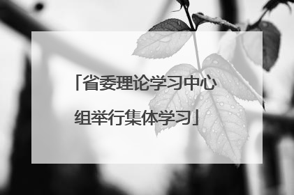 省委理论学习中心组举行集体学习