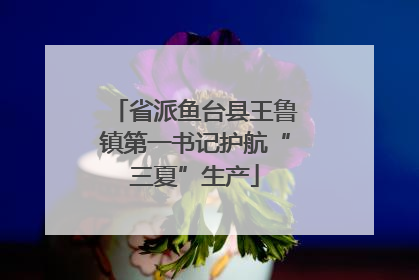 省派鱼台县王鲁镇第一书记护航“三夏”生产