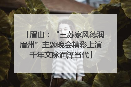 眉山：“三苏家风德润眉州”主题晚会精彩上演千年文脉润泽当代