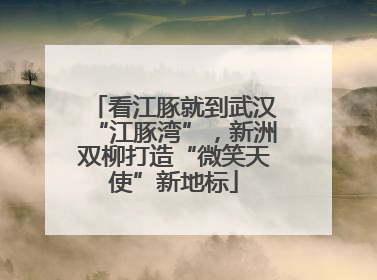 看江豚就到武汉“江豚湾”，新洲双柳打造“微笑天使”新地标