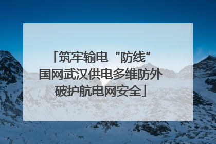 筑牢输电“防线” 国网武汉供电多维防外破护航电网安全