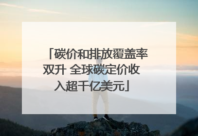 碳价和排放覆盖率双升 全球碳定价收入超千亿美元