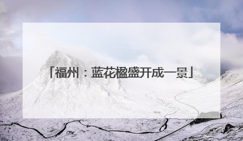 福州：蓝花楹盛开成一景
