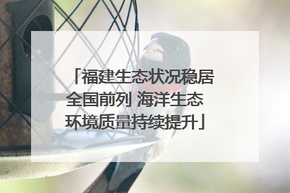 福建生态状况稳居全国前列 海洋生态环境质量持续提升