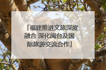 福建推进文旅深度融合 深化闽台及国际旅游交流合作