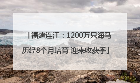福建连江：1200万只海马历经8个月培育 迎来收获季