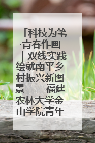 科技为笔·青春作画｜双线实践绘就南平乡村振兴新图景——福建农林大学金山学院青年学子以智慧与科技激活乡村发展新动能