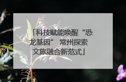 科技赋能唤醒“恐龙基因” 常州探索文旅融合新范式