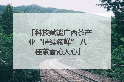 科技赋能广西茶产业“持续领鲜” 八桂茶香沁人心