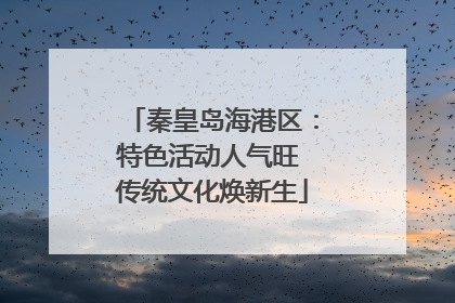 秦皇岛海港区：特色活动人气旺 传统文化焕新生