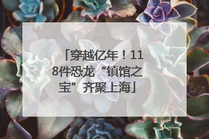 穿越亿年！118件恐龙“镇馆之宝”齐聚上海