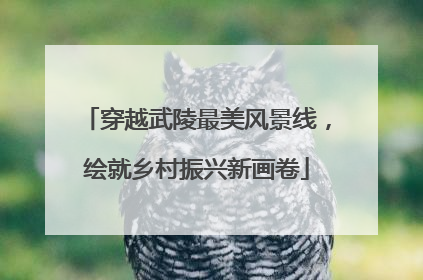 穿越武陵最美风景线，绘就乡村振兴新画卷