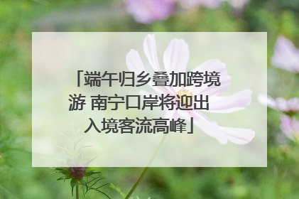 端午归乡叠加跨境游 南宁口岸将迎出入境客流高峰