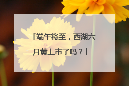 端午将至，西湖六月黄上市了吗？