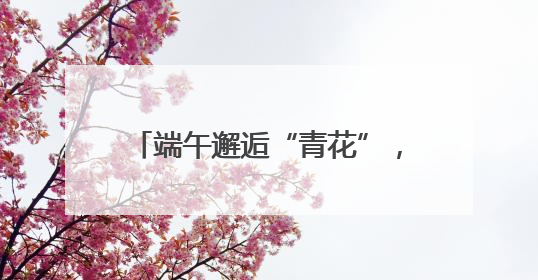 端午邂逅“青花”，“移动博物馆”点亮郑州城市文化空间
