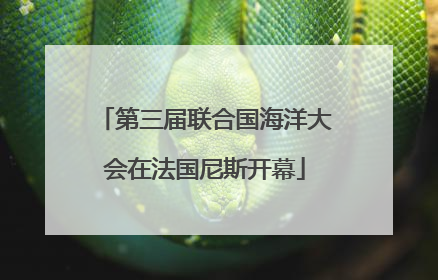 第三届联合国海洋大会在法国尼斯开幕